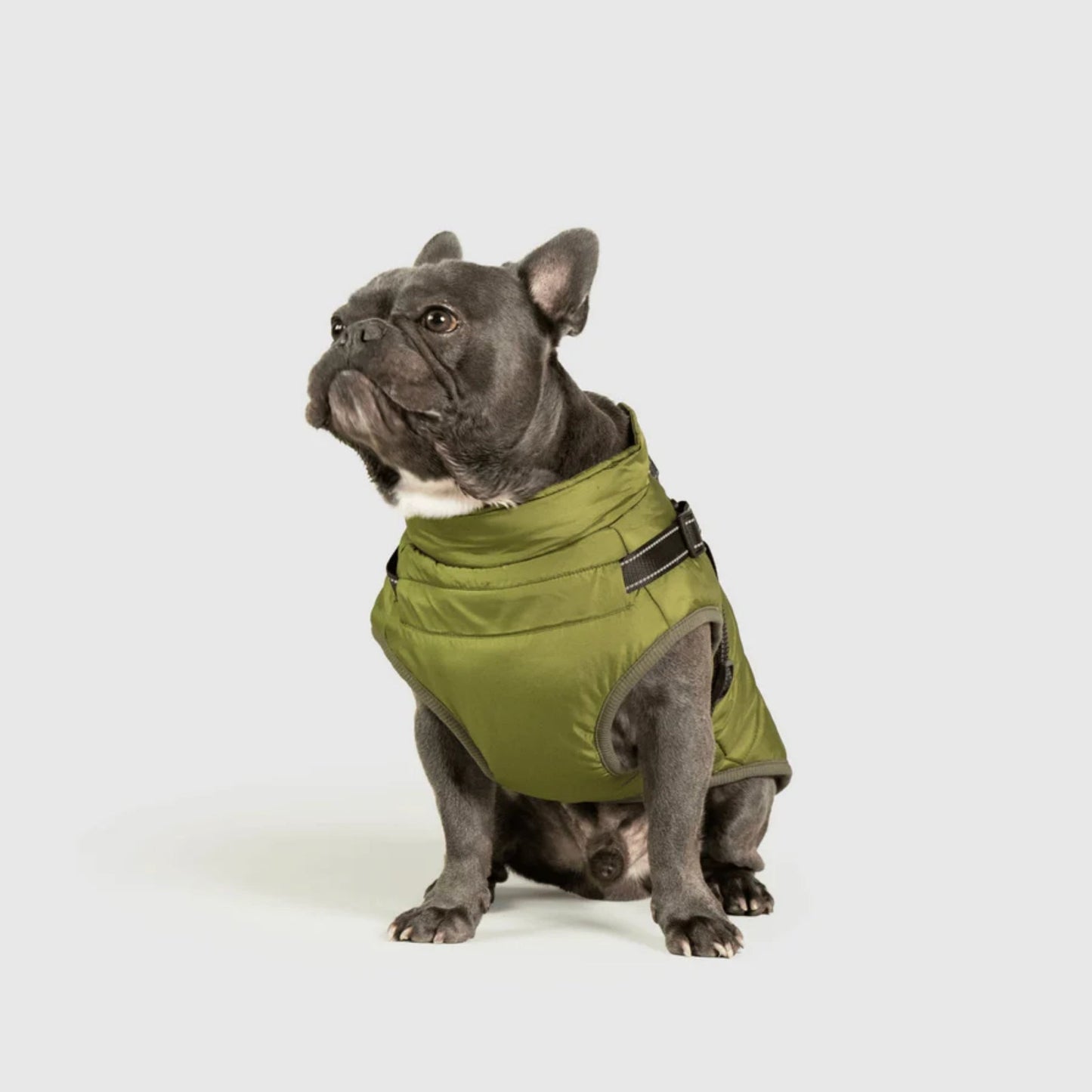 DoggyKings™ koiran takki valjailla – Vedenpitävä ja lämmin (3-in-1-muotoilu)