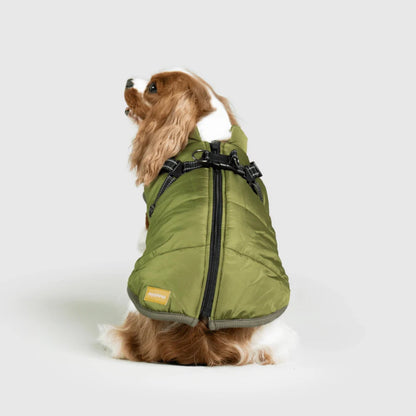 DoggyKings™ koiran takki valjailla – Vedenpitävä ja lämmin (3-in-1-muotoilu)