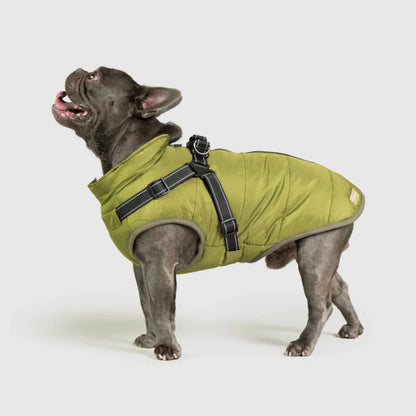 DoggyKings™ koiran takki valjailla – Vedenpitävä ja lämmin (3-in-1-muotoilu)