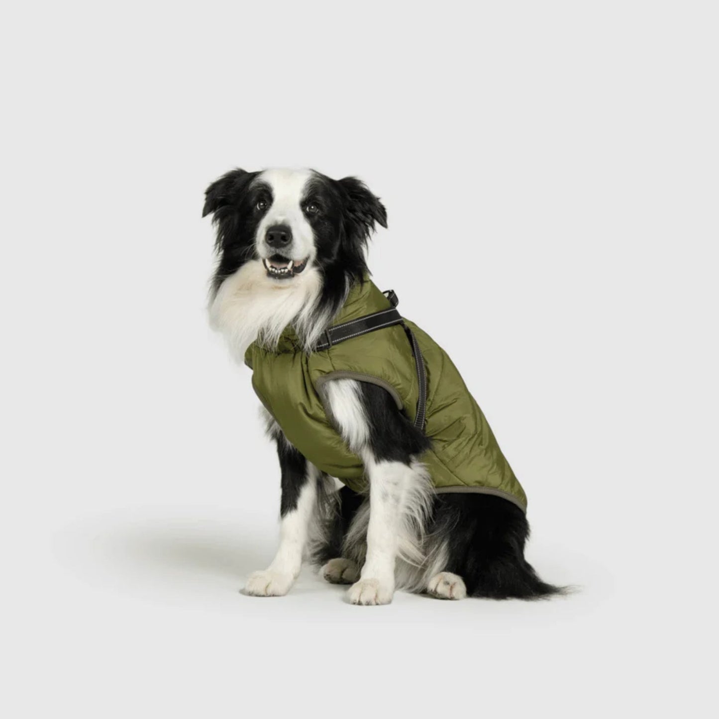 DoggyKings™ koiran takki valjailla – Vedenpitävä ja lämmin (3-in-1-muotoilu)