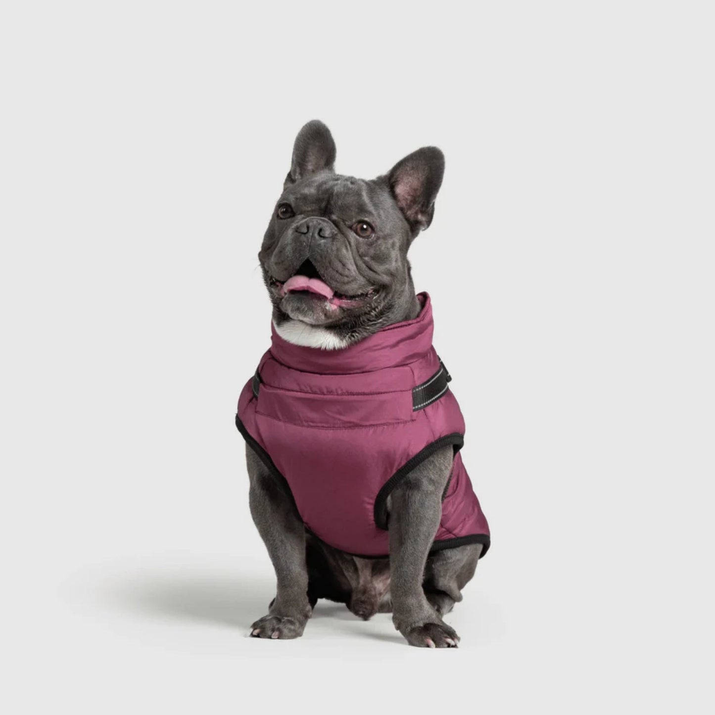 DoggyKings™ koiran takki valjailla – Vedenpitävä ja lämmin (3-in-1-muotoilu)