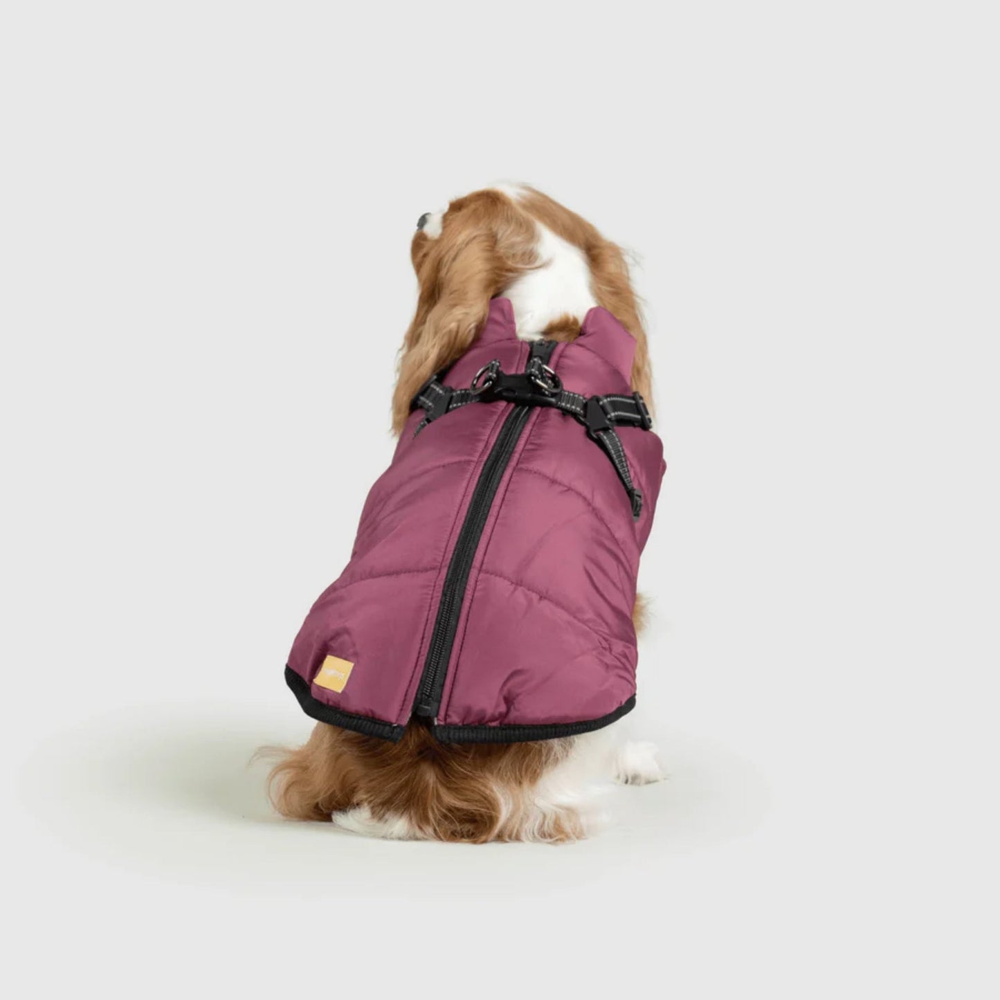 DoggyKings™ koiran takki valjailla – Vedenpitävä ja lämmin (3-in-1-muotoilu)
