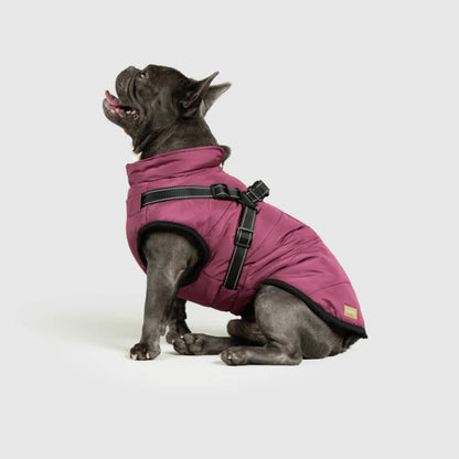 DoggyKings™ koiran takki valjailla – Vedenpitävä ja lämmin (3-in-1-muotoilu)