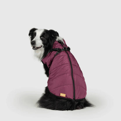 DoggyKings™ koiran takki valjailla – Vedenpitävä ja lämmin (3-in-1-muotoilu)