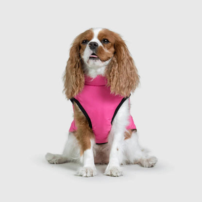 DoggyKings™ koiran takki valjailla – Vedenpitävä ja lämmin (3-in-1-muotoilu)