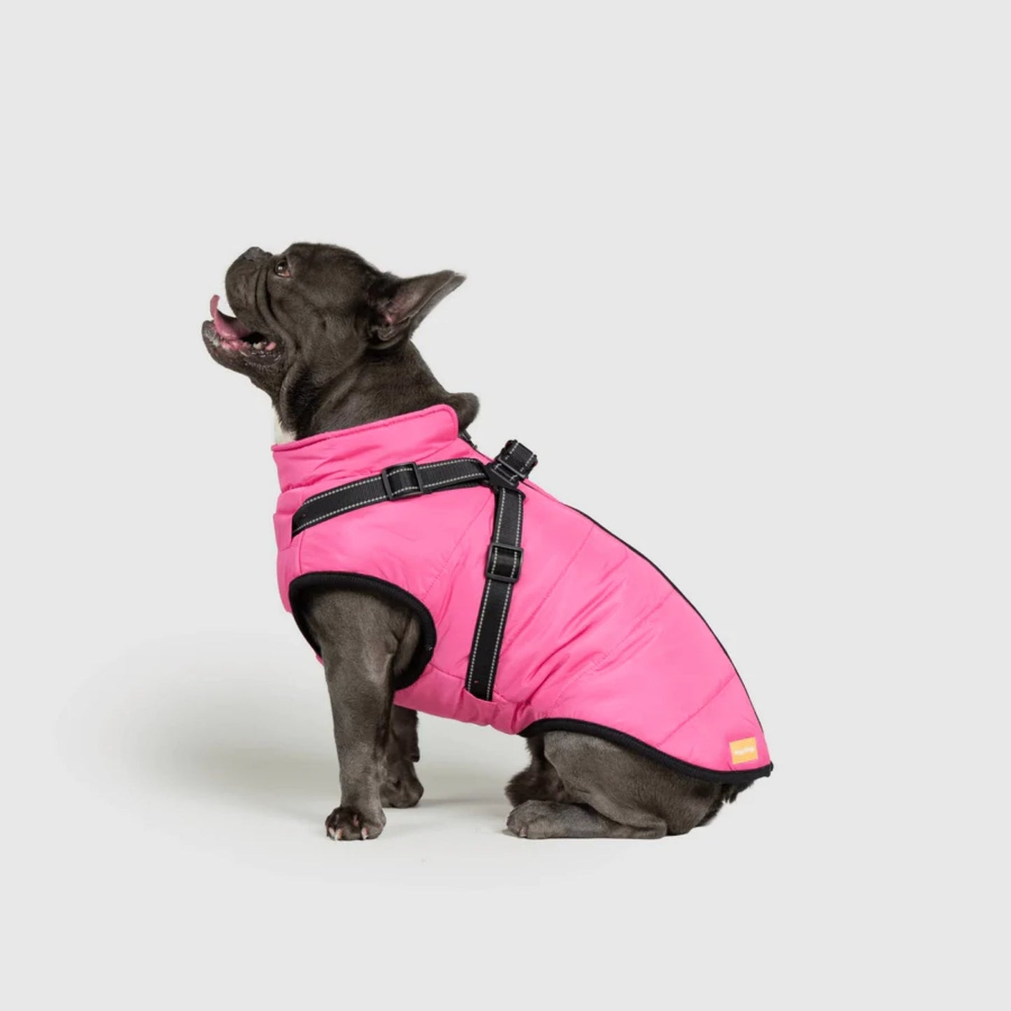 DoggyKings™ koiran takki valjailla – Vedenpitävä ja lämmin (3-in-1-muotoilu)