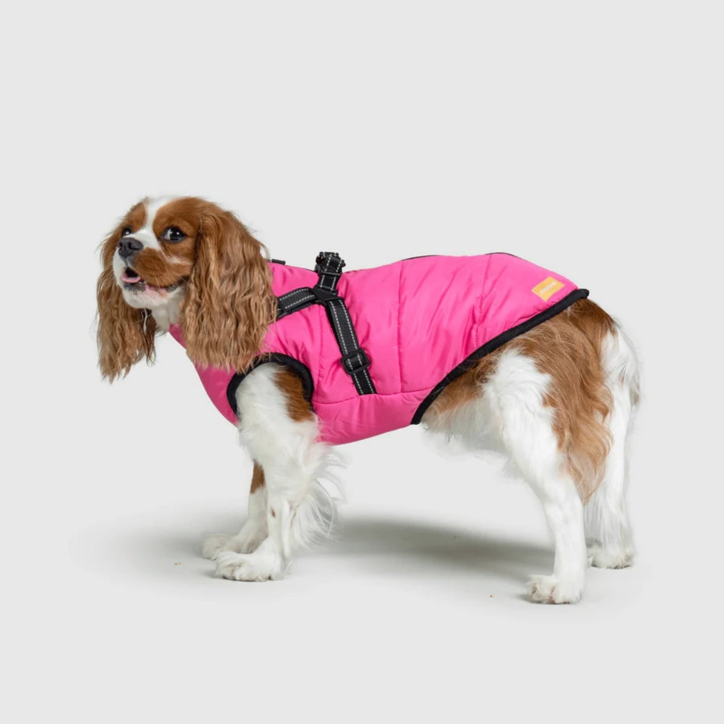 DoggyKings™ koiran takki valjailla – Vedenpitävä ja lämmin (3-in-1-muotoilu)