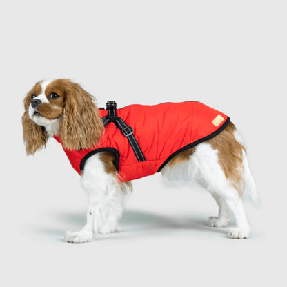 DoggyKings™ koiran takki valjailla – Vedenpitävä ja lämmin (3-in-1-muotoilu)