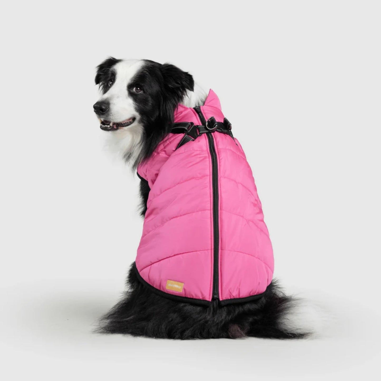 DoggyKings™ koiran takki valjailla – Vedenpitävä ja lämmin (3-in-1-muotoilu)
