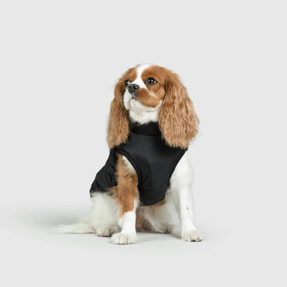 DoggyKings™ koiran takki valjailla – Vedenpitävä ja lämmin (3-in-1-muotoilu)