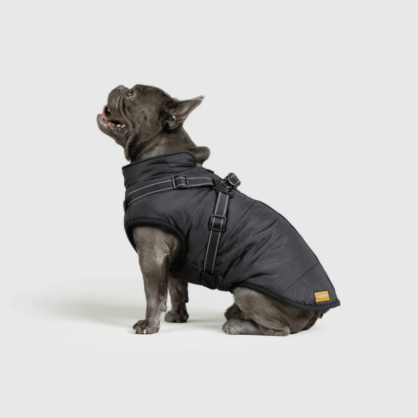 DoggyKings™ koiran takki valjailla – Vedenpitävä ja lämmin (3-in-1-muotoilu)