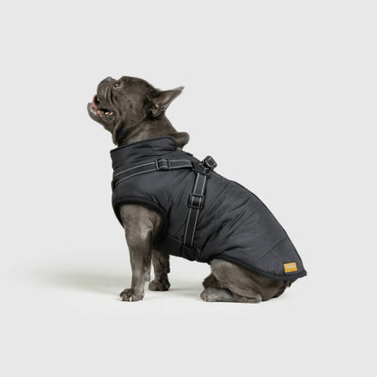 DoggyKings™ koiran takki valjailla – Vedenpitävä ja lämmin (3-in-1-muotoilu)