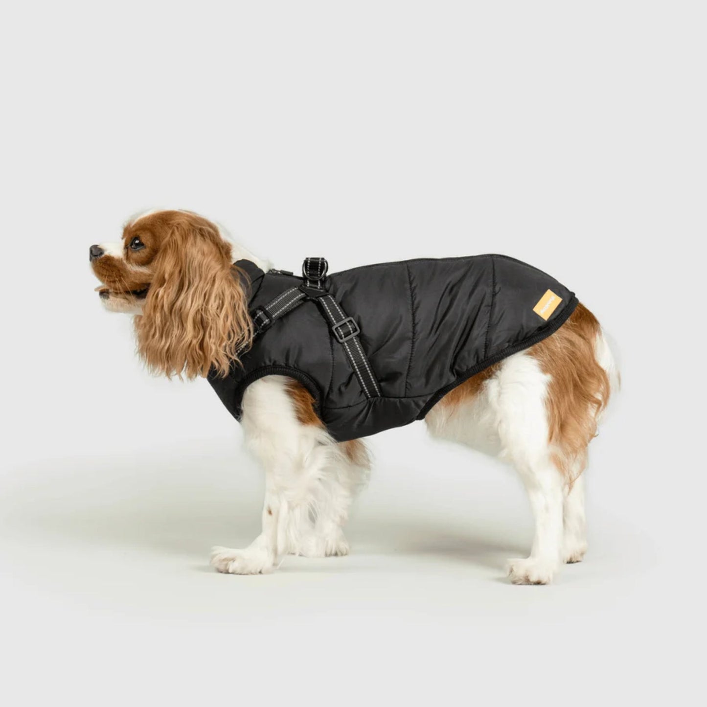 DoggyKings™ koiran takki valjailla – Vedenpitävä ja lämmin (3-in-1-muotoilu)