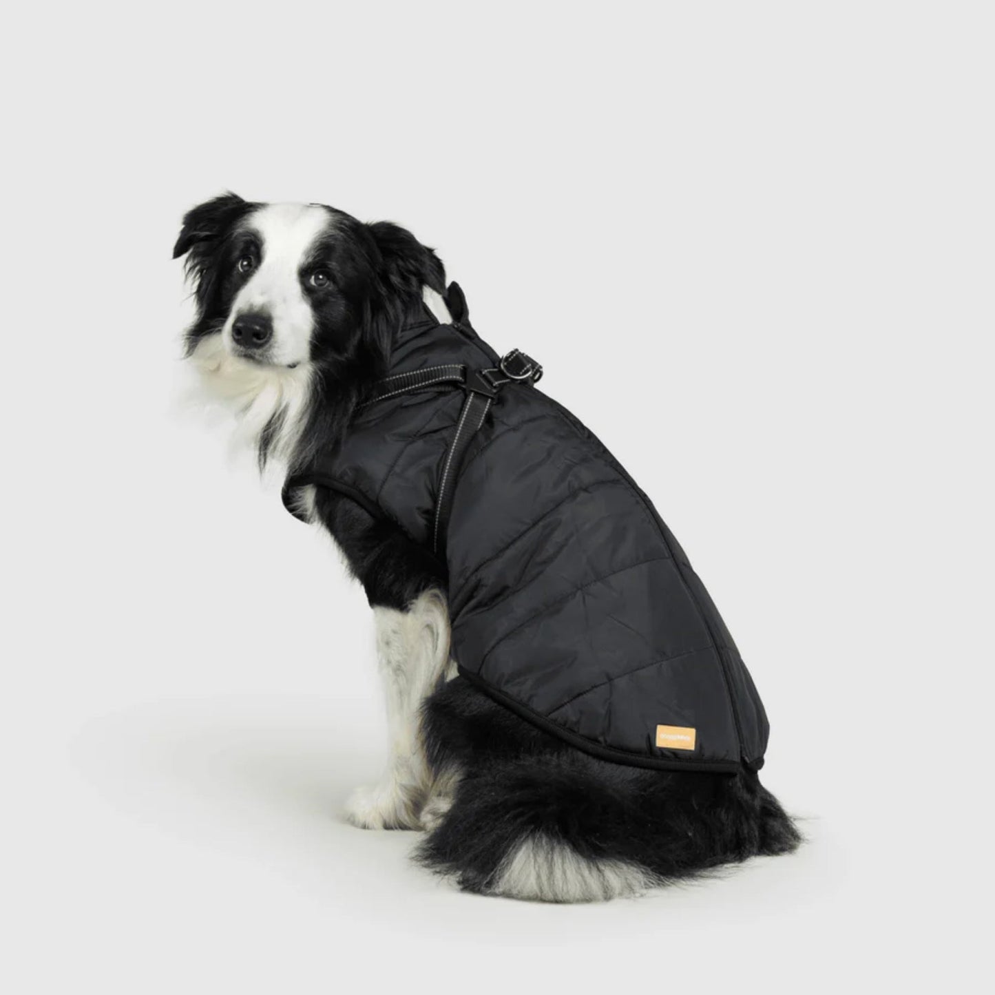 DoggyKings™ koiran takki valjailla – Vedenpitävä ja lämmin (3-in-1-muotoilu)