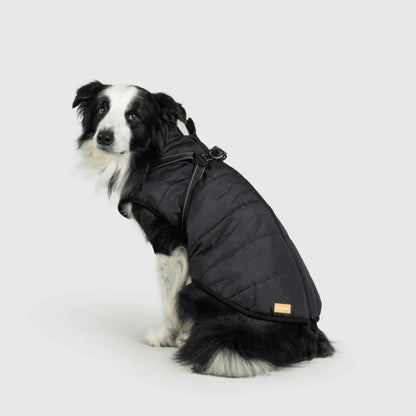 DoggyKings™ koiran takki valjailla – Vedenpitävä ja lämmin (3-in-1-muotoilu)