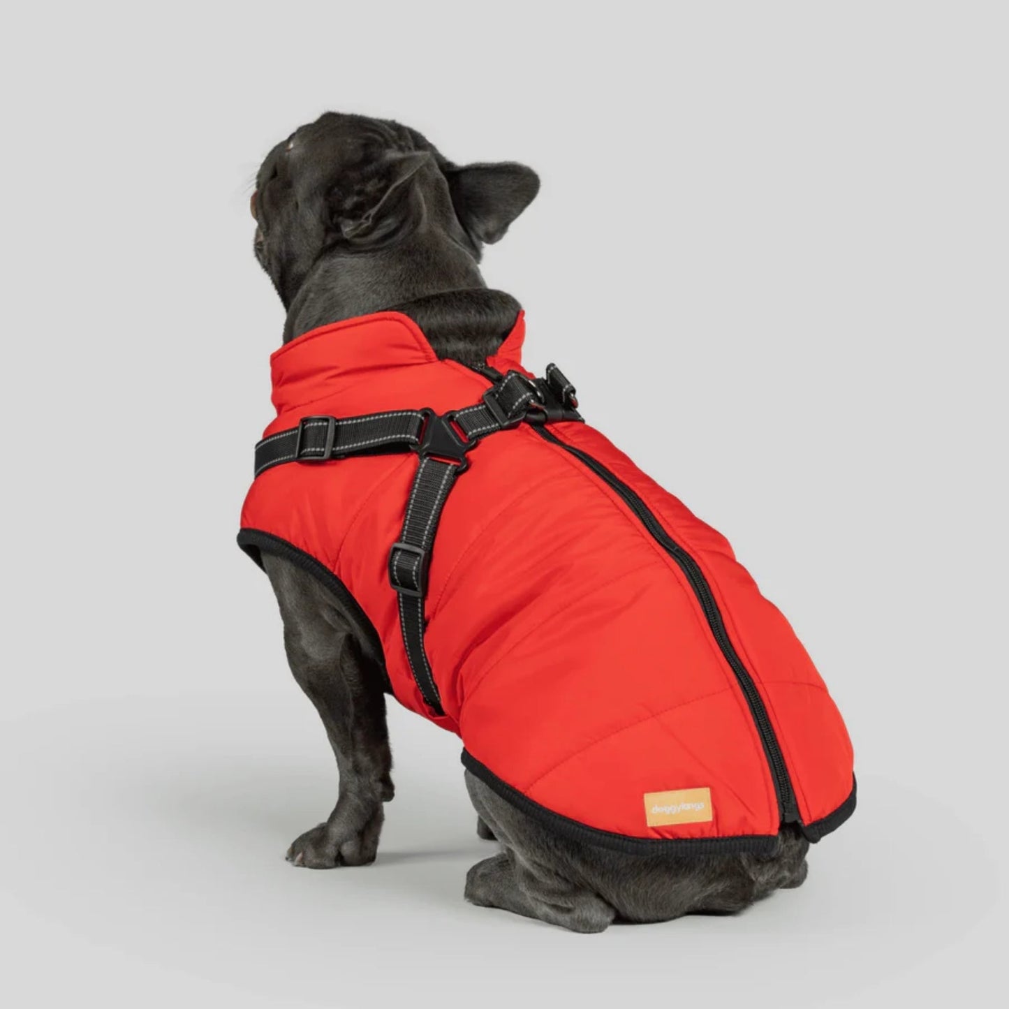 DoggyKings™ koiran takki valjailla – Vedenpitävä ja lämmin (3-in-1-muotoilu)
