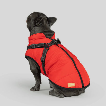DoggyKings™ koiran takki valjailla – Vedenpitävä ja lämmin (3-in-1-muotoilu)