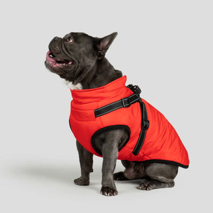 DoggyKings™ koiran takki valjailla – Vedenpitävä ja lämmin (3-in-1-muotoilu)