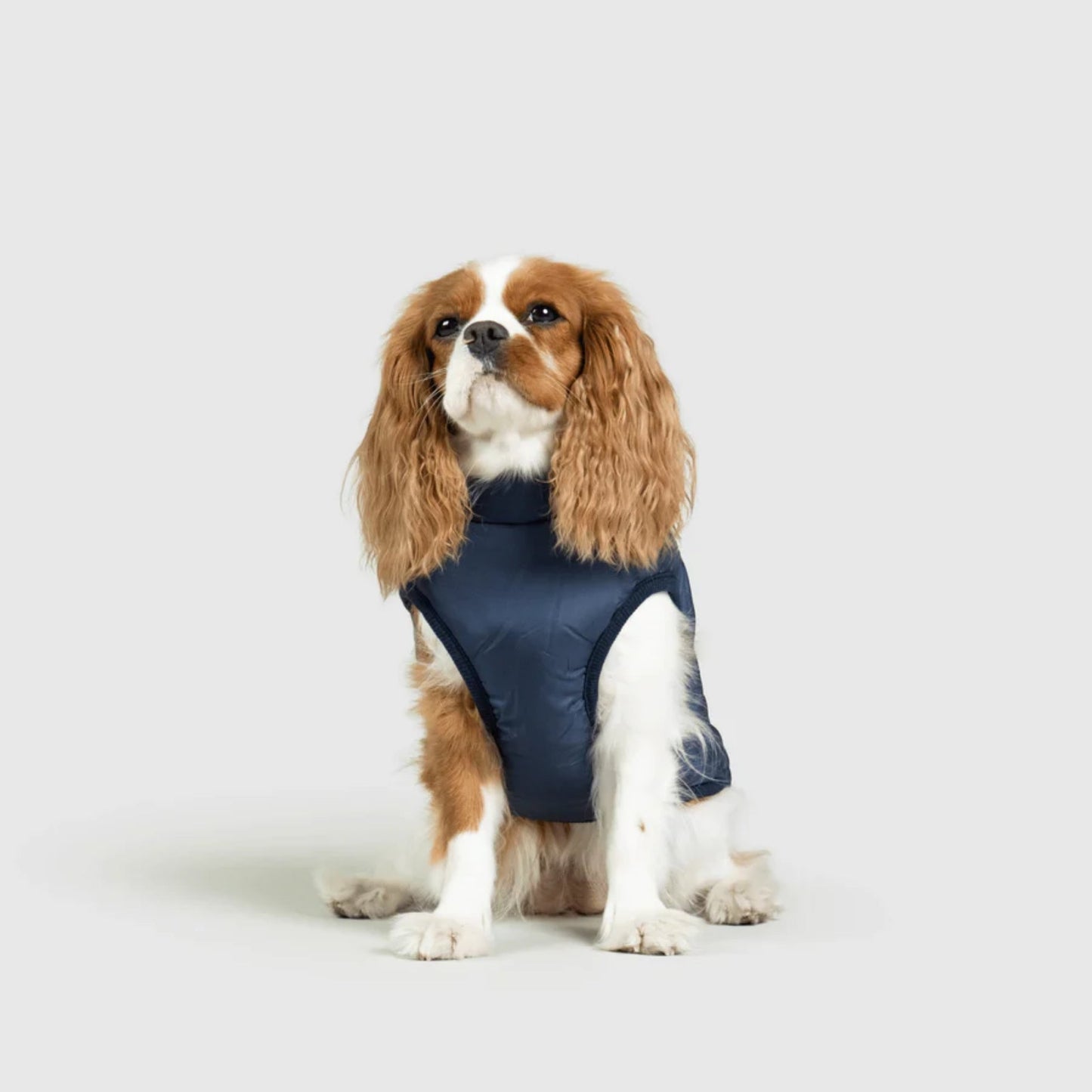 DoggyKings™ koiran takki valjailla – Vedenpitävä ja lämmin (3-in-1-muotoilu)