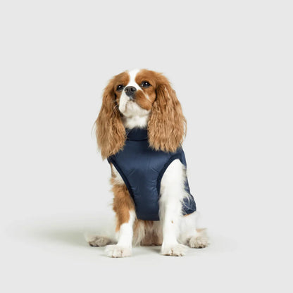 DoggyKings™ koiran takki valjailla – Vedenpitävä ja lämmin (3-in-1-muotoilu)