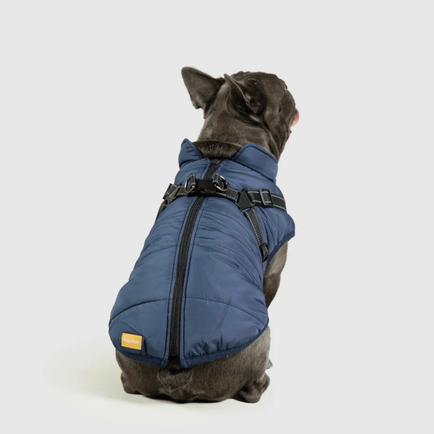 DoggyKings™ koiran takki valjailla – Vedenpitävä ja lämmin (3-in-1-muotoilu)