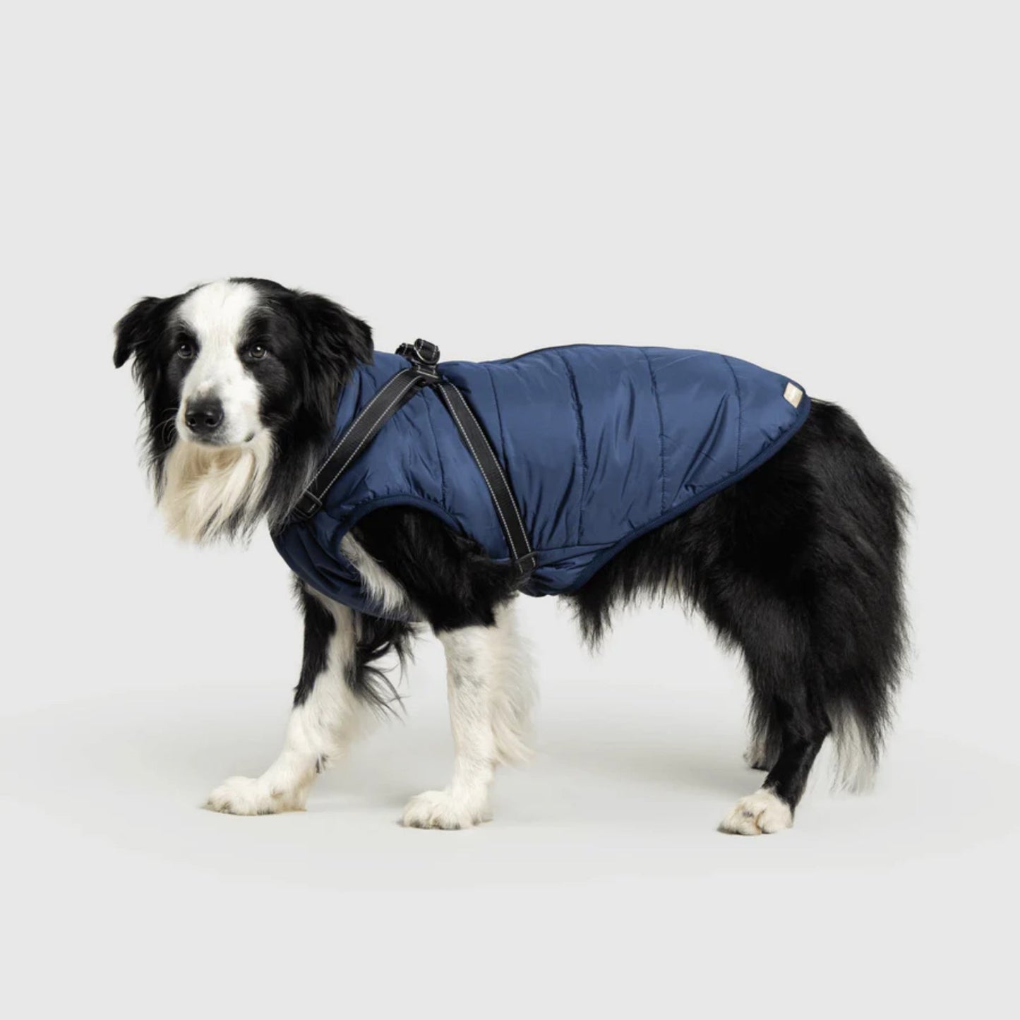 DoggyKings™ koiran takki valjailla – Vedenpitävä ja lämmin (3-in-1-muotoilu)