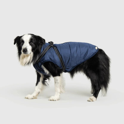 DoggyKings™ koiran takki valjailla – Vedenpitävä ja lämmin (3-in-1-muotoilu)