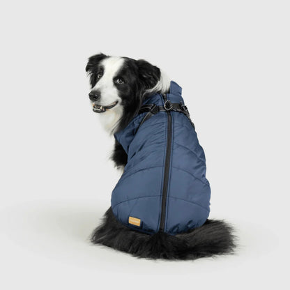 DoggyKings™ koiran takki valjailla – Vedenpitävä ja lämmin (3-in-1-muotoilu)