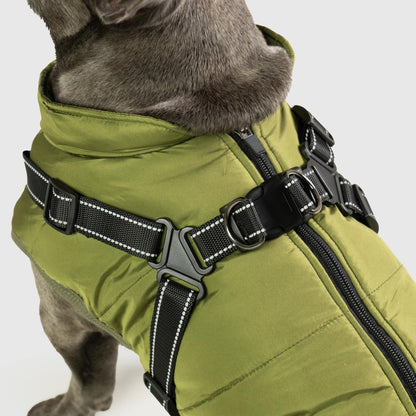DoggyKings™ koiran takki valjailla – Vedenpitävä ja lämmin (3-in-1-muotoilu)
