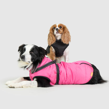 DoggyKings™ koiran takki valjailla – Vedenpitävä ja lämmin (3-in-1-muotoilu)